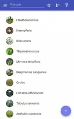 Baixar Ervas medicinais APK