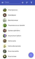 Лекарственные растения постер