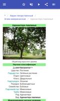 Лекарственные растения скриншот 3