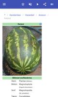Şifalı otlar Ekran Görüntüsü 3