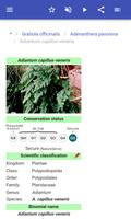 Medicinal herbs स्क्रीनशॉट 3