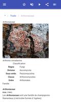 Les lichens capture d'écran 2