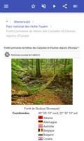 Forêts capture d'écran 3