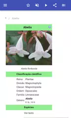 Baixar Arbustos ornamentais XAPK