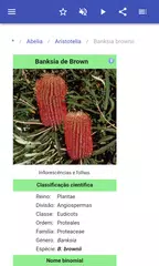Baixar Arbustos ornamentais XAPK