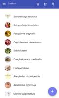 Insectenplagen-poster