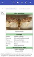 Schadinsekten Screenshot 2