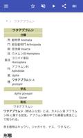 昆虫 スクリーンショット 1