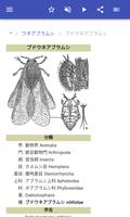 昆虫 スクリーンショット 2