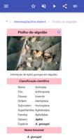 As pragas de insectos imagem de tela 2