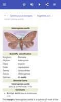 Insect pests ภาพหน้าจอ 3