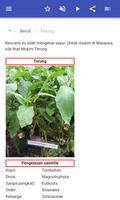 Sayur-sayuran syot layar 2