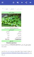 برنامه‌نما سبزیجات عکس از صفحه