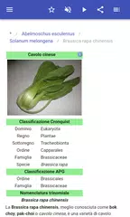 download La verdura APK