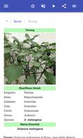 Sayuran screenshot 2