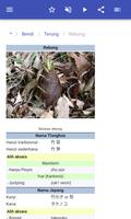 Sayuran screenshot 3
