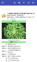 野菜 スクリーンショット 1