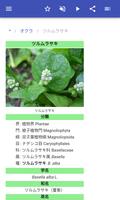 野菜 スクリーンショット 2