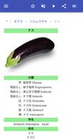 野菜 スクリーンショット 3