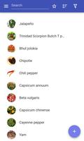 Vegetables 海報