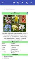 Hierbas perennes captura de pantalla 1