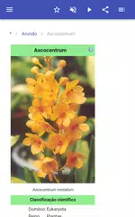 Baixar Ervas perenes APK