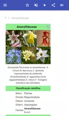Baixar Ervas perenes APK