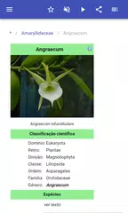Baixar Ervas perenes APK
