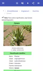 Baixar Ervas perenes APK