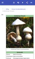 Pilze Screenshot 3