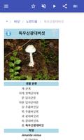 버섯 스크린샷 3