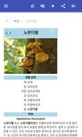 버섯 스크린샷 2