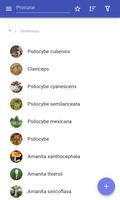 Cogumelos imagem de tela 1