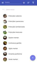 Mantar Ekran Görüntüsü 1