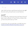 السفن الشراعية تصوير الشاشة 1