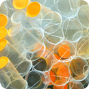 Plastics APK