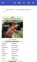 Crustaceans screenshot 3