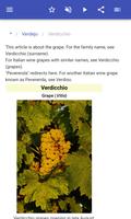 Grape varieties تصوير الشاشة 1