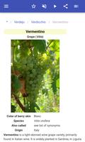 Grape varieties screenshot 2