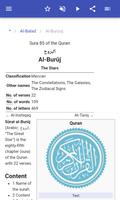 Quran Sura ภาพหน้าจอ 2