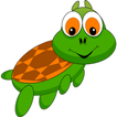 Schildkröten