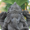 The texts in Sanskrit APK