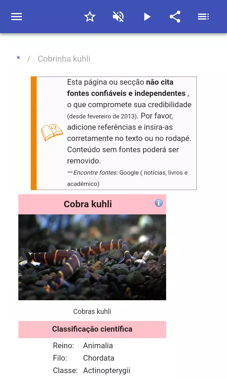 aquário planet: Cobrinha Kuhli