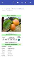 برنامه‌نما میوه عکس از صفحه