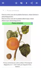 Descargar APK de Fruta