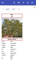 फल स्क्रीनशॉट 3