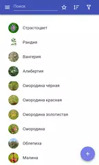 Скачать Фрукты APK