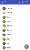水果 海报