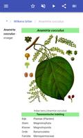 Schadelijke planten screenshot 2