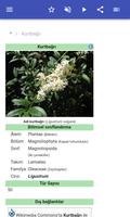 Zehirli bitkiler Ekran Görüntüsü 1